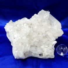 画像をクリックして詳細表示